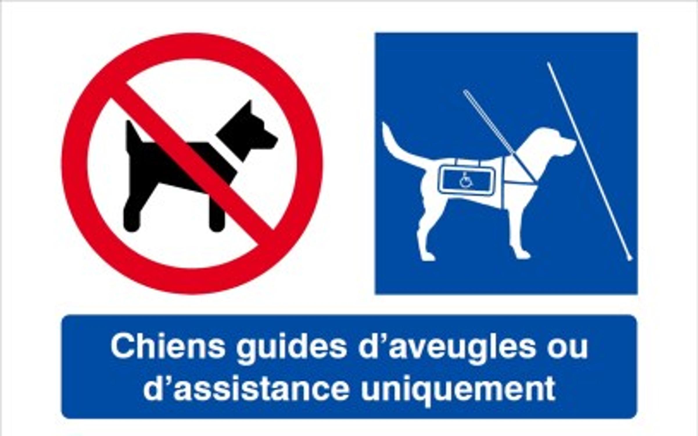 Picto_chiens guides d'assistance
